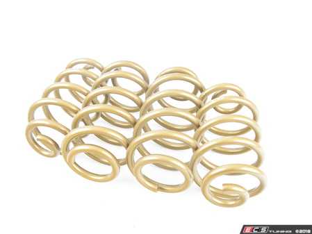 ES#3253497 - SKG70-BUB00 - High Tech Sport Springs - Set - The ultimate spring for the enthusiast seeking lower stance while maintaining high ride quality! - Tein - Audi