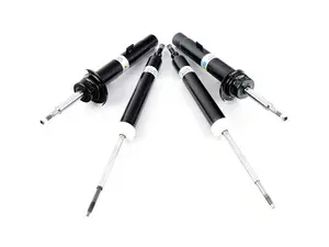 B4 Touring Shocks & Struts Kit