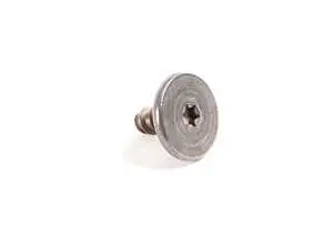Torx Screw - Priced Each