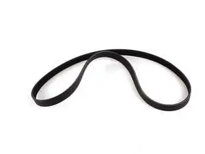Accessory Belt