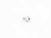ES#3029577 - 33326764505 - TORX SCREW - Genuine MINI - 