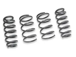 Dynamic+ Performance Lowering Springs