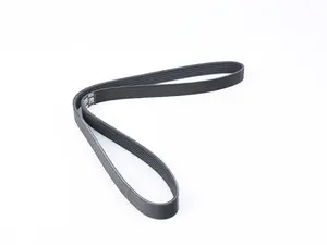 Serpentine Belt
