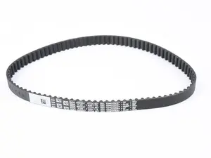 Starter Belt