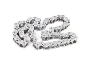 Lower Timing Chain