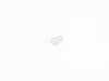 ES#2673352 - 51419132338 - PIN - Genuine MINI - 