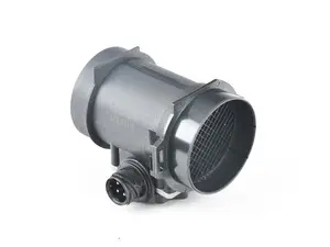 Mass Air Flow Sensor (MAF)