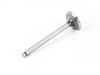ES#3610591 - 027109601C - Intake Valve - Priced Each  - Replacement intake valve - AE - Audi Volkswagen