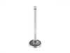 ES#3610591 - 027109601C - Intake Valve - Priced Each  - Replacement intake valve - AE - Audi Volkswagen