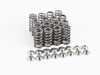 ES#3623816 - SPRK-MCB48 - Performance Valve Springs Kit - Set Of 16  - Aftermarket performance intake and exhaust valve springs for your high revving B46/B48 engine - Supertech - MINI