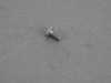 ES#2664758 - N10335206 - BOLT - Genuine Volkswagen Audi - 