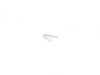ES#157197 - 54128108209 - CLIP - Genuine BMW - BMW