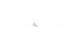ES#16951 - 07147144880 - FILLISTER HEAD SCREW - Genuine BMW - BMW