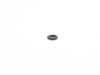 ES#2801679 - 99970728840 - TENSIONER O-RING - Rein - 