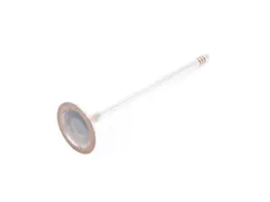 Intake Valve - Priced Each