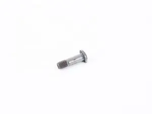 Eccentric Bolt