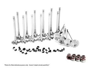 Supertech Stainless Intake Valve Kit