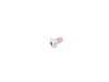 ES#242554 - 46547694305 - ISA SCREW - Genuine BMW - BMW