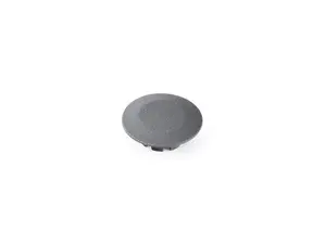 Blind Plug