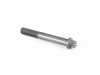 ES#20574 - 11237838588 - TORX BOLT - Genuine BMW - BMW