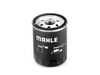 ES#3659179 - 99310720305 - Crankcase Oil Filter - Oil filter fitted to the side of the engine case - Mahle - Porsche