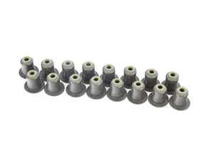 REPAIR KIT VALVE SEAL RING