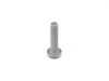 ES#254092 - 11412248162 - TORX BOLT - Genuine BMW - BMW