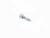 ES#3198133 - 07129905854 - TORX SCREW - Genuine BMW - 