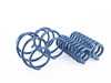 ES#3148932 - D100-0909 - Performance Spring Set - Civilized performance for the discerning enthusiast - Dinan - BMW