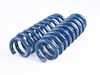 ES#3148932 - D100-0909 - Performance Spring Set - Civilized performance for the discerning enthusiast - Dinan - BMW