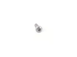 OVAL-HEAD SCREW, SEL