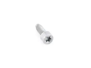 TORX SCREW