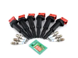 Performance Ignition Service Kit