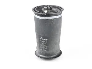 Rear Air Spring - Priced Each