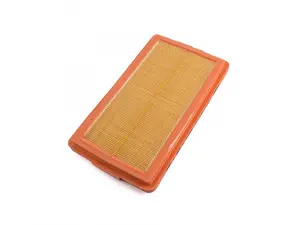 Engine Air Filter