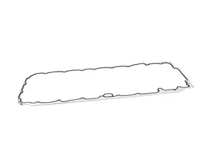 Oil Pan Gasket