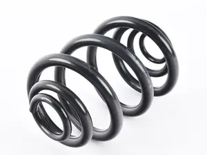 B3 Rear Coil Spring - Priced Each
