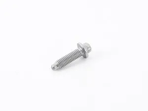 Engine Oil Pan Bolt (8 X 30 mm)