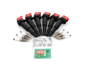 Performance Ignition Service Kit