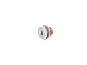 Drain/Fill Plug 