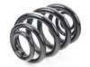 ES#2915120 - 33536750756 - E46 Rear Coil Spring - Replace your cracked springs - Mubea - BMW