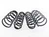 ES#3427331 - 1J0698200614KT1 - Hi-Lift Springs - Average lift front: 1" rear: 2" - Mubea - Volkswagen