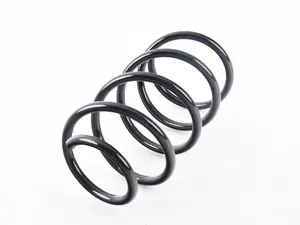 E84 Front Coil Spring