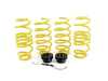 ES#3188311 - 1328000Z - Coilover Kit - Offers sport handling with adjustable ride height - Suspension Techniques - Volkswagen