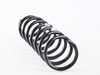 ES#2720658 - 33536794660 - Coil Spring - Genuine BMW - BMW