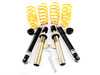 ES#3188311 - 1328000Z - Coilover Kit - Offers sport handling with adjustable ride height - Suspension Techniques - Volkswagen