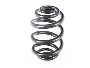 Rear Coil Spring - Heavy Duty	