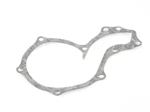 Water Pump Gasket (9 Hole)