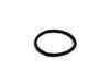 ES#23210 - 11367830828 - E39 M5 VANOS Solenoid O-Ring - Priced Each - 8 required - Genuine BMW - BMW
