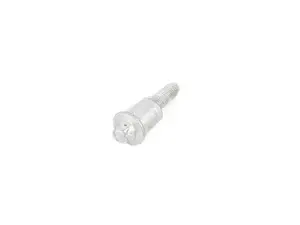 Cylinder Head Cover Bolt